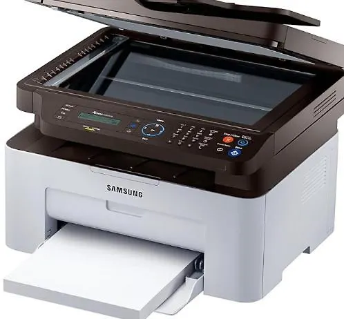 Dimora Marcelo לינה וארוחת בוקר